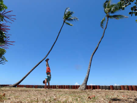 Man Handstanding in the grass along cliff shore next to shallow ocean waters of Waikiki with Coconut trees hang over looking into the pacific oceanの写真素材