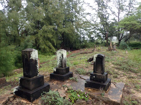 Overgrown Historic Wet Graveyard among ironwood trees on a cloudy day on Maui.の写真素材