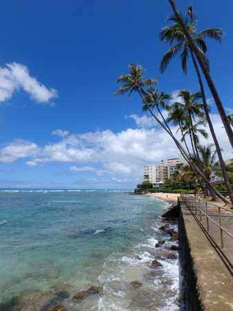 Waikiki waters as waves crash on sea wall at Makalei Beach Park with Coconut trees hanging over the ocean and beach in distance on Oahu, Hawaii.の写真素材