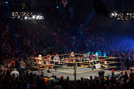 SAN JOSE - MARCH 27: NXT Diva wrestler Bayley runs around ring with Alexis Bliss, Becky Lynch, Dana Brooks in ring before match at the San Jose Event Center in San Jose, California on March 27, 2015.のeditorial素材
