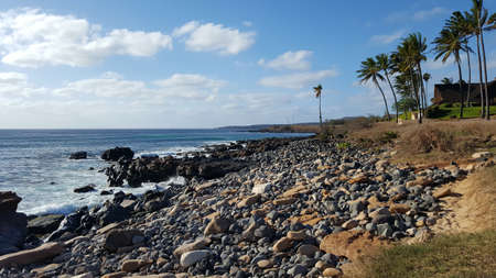 Rocks line Kepuhi Beach with Coconut trees along the shore on the island of Molokai in the state of...