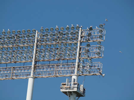 Seagull Birds rest and fly around Stadium-style lights, taken at Oakland Coliseum looking forward, clear blue sky background, during the daytime so the lights are off.の写真素材