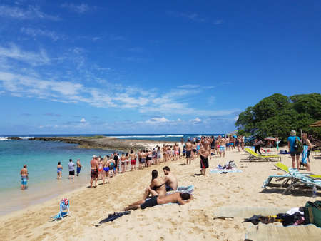 NORTH SHORE, HAWAII - FEBRUARY 26, 2017: People surround, look at, and take photos of Monk Seal sleeping on Kuilima Cove Beach at Turtle Bay, Oahu Island North Shore, Hawaiiのeditorial素材