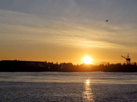 Sunset over Oakland Inner Harbor and Alameda with Bird flying in air and crane along shore.  の写真素材