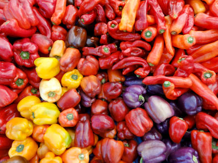 Mix of colors and types of Peppers at a farmers market in San Franciscoの写真素材