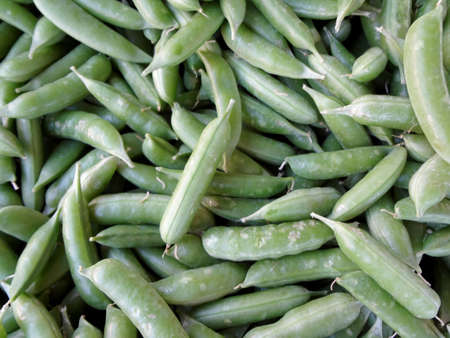 Close-up of Green Beans Snapsの写真素材