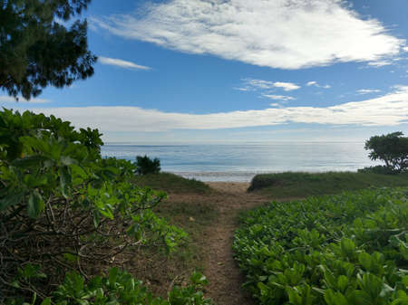 Pathway with Naupaka plants and grass lining way to the beach with gentle wave lap on Waimanalo...