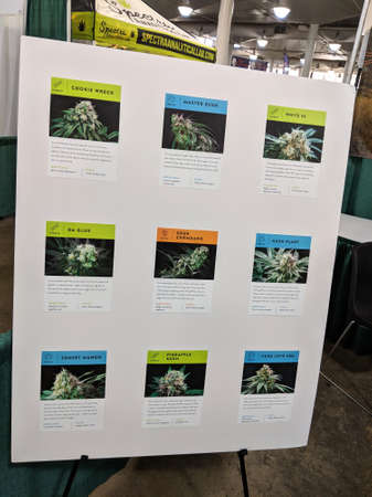 Honolulu - February 10, 2018:  Strains of Cannabis Flower from The Cure on display at the 3rd Annual Hawaii Cannabis Expo inside the Neal S Blaisdell Exhibition Hall, Honolulu, Hawaii.のeditorial素材
