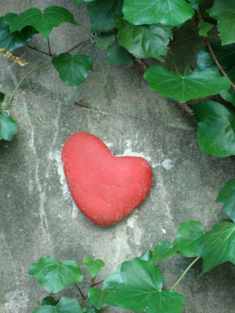 Red Heart on Wall surrounded by Ivy Vines in San Francisco, California.の写真素材
