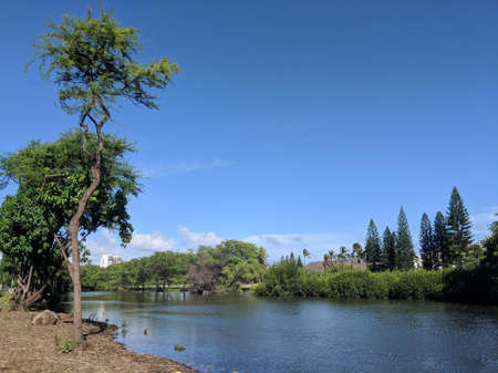 Ala Wai Canal on a nice day in Waikiki on Oahu, Hawaii.の写真素材