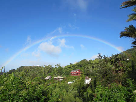 Rainbow over Tantalus Mountain Forest on the island of Oahu, Hawaii.の写真素材