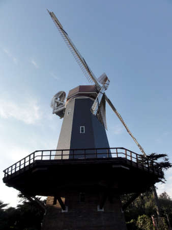 Golden Gate Park Murphy Windmill in San Francisco.          の写真素材