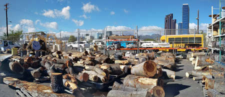 Honolulu - August 12, 2017:  Cuts of wood from large tree for sale in parking lot of Re-Use Hawaii.のeditorial素材