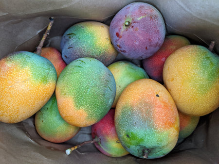 Pile of multi-colored of Sun-kissed Hayden Mango's in bag on Honolulu, Hawaii.の写真素材