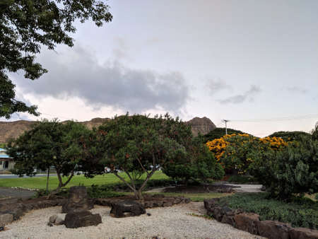 Path in Queen Kapiolani Garden, Oahu.  Opened in 1972, the garden and adjacent park once belonged to King David Kalakaua who donated the land for public use in 1877. He named the 133-acre park in honor of his wife, Queen Kapiolani.の写真素材