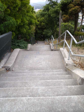 Concrete Staircase leading downwards through the trees in San Francisco.の写真素材