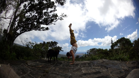 Man wearing a t-shirt, and pants handstands at Tantalus Mountain next to dog with lush vegetation above the City of Honolulu on Oahu, Hawaiiの写真素材