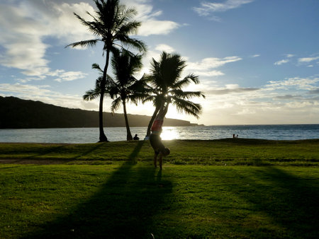 Man does a Handstand in grass field on Hanauma Bay beach at sunrise on Oahu, Hawaii.の写真素材