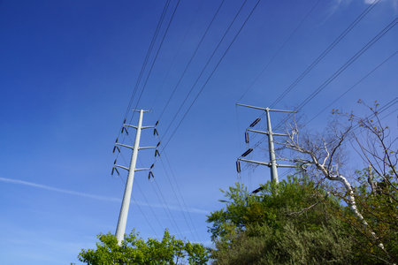 Two Metal Power line Poles above the trees in Maine.