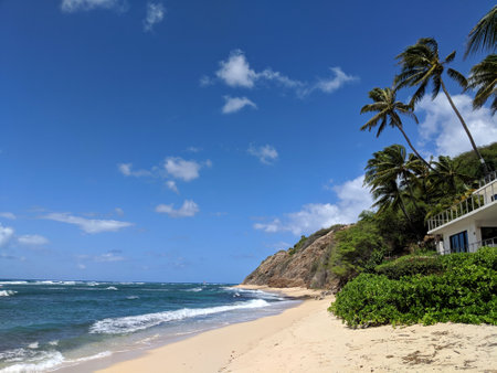 Footprints in the sand on empty Diamond Head Beach on a Beautiful day with vegetation on cliff side and nice house at dusk in the distance on Oahu, Hawaii.の写真素材