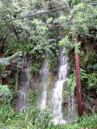Three small waterfalls behind powerline in forest on Tantalus Mountain on Oahu, Hawaii.の写真素材