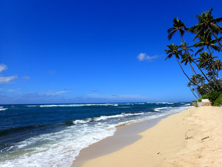 Waves roll in on Diamond Head Beach on a Beautiful day on Oahu, Hawaii.の写真素材