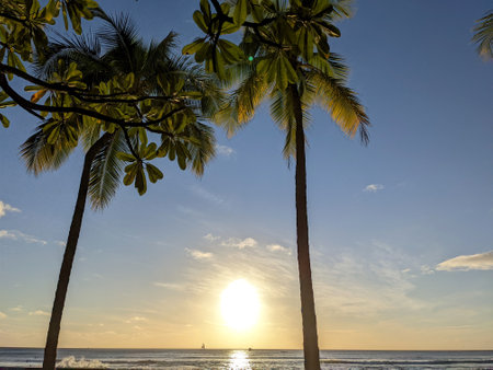 Dramatic Sunset from Waikiki beach over ocean through the trees with boats sailing on the water on Oahu, Hawaii.の写真素材