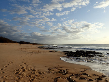A rocky shore and trees create a stunning contrast at Pahohaku Beach on Molokai, Hawaii at dusk.の写真素材