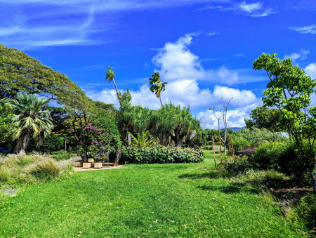Historic Queen Kapiolani Garden, a serene oasis with a rich past on Oahu.  Opened in 1972, the garden and adjacent park once belonged to King David Kalakaua who donated the land for public use in 1877. He named the 133-acre park in honor of his wife, Queen Kapiolani.の写真素材