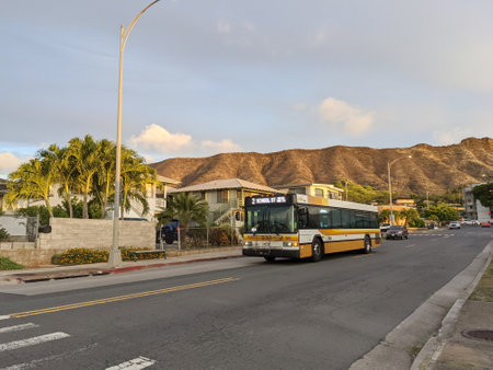 Honolulu - September 20, 2021:  Honolulu City Hybrid Bus, number 2, drives along Campbell street at dawn.  TheBus has a ridership of approximately 75.5 million boardings annually on its fleet of 518 buses, providing daily service on 110 routes.のeditorial素材