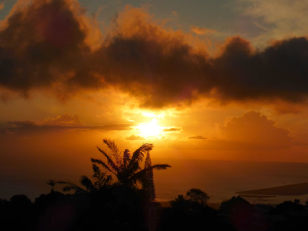 Golden hues illuminate the sky as the sun sets behind silhouetted palm trees in Oahu, Hawaii, creating a serene tropical atmosphere.の写真素材