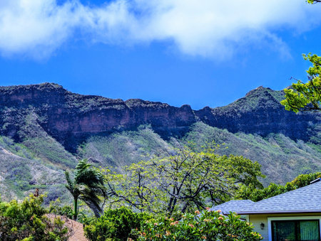 A picturesque view of lush mountain ranges towering above tropical foliage.