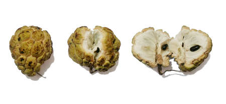 custard apple