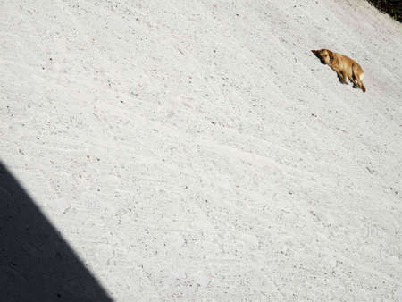 in the Gulf of Mexico          の写真素材