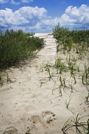 Sandy Path to Boardwalk, Gulf Coastの写真素材