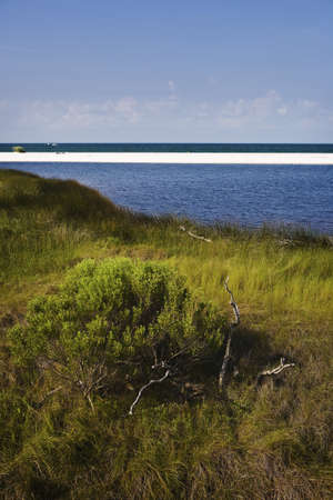 Quiet & Empty Summer Beach, Gulf Coastの写真素材