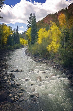 Colorado Mountain Streamの写真素材