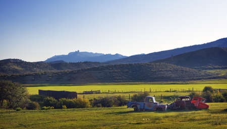 Retired Autos in the Fieldの写真素材