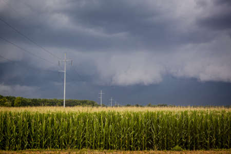 Coming Storm over Corn Fieldsの写真素材