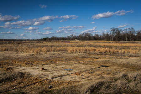 Empty Meadows   Streetの写真素材