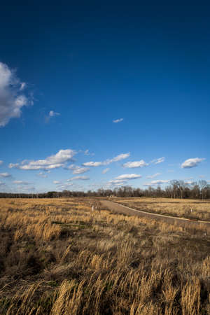 Empty Meadows   Street