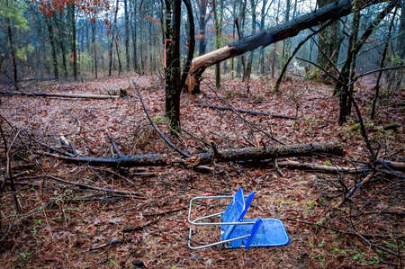 Lawn Chair   Timberの写真素材