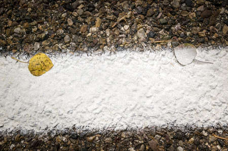 Aspen Leaves   Roadの写真素材