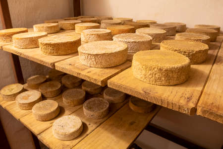 Artisanal cheese from Serra da Canastra made from milk from Caracu and Girolando cattle, Minas...