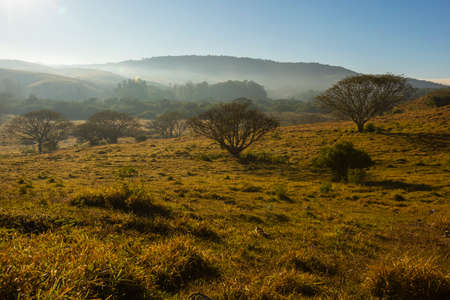 dawn in the field with mountains in the background, in Itu, Sao Paulo, Brazil,の写真素材
