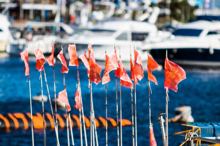 Picturesque places in the Punta del Este region in Uruguay,の写真素材