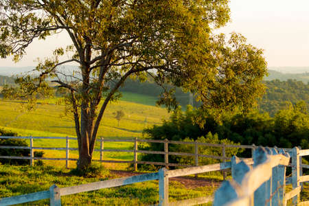 farm fence on a beautiful sunset