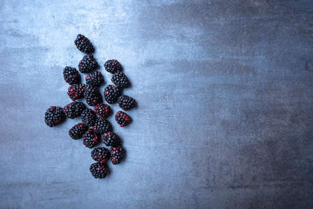 BlackBerry on gray abstract background, seen from above, free space for text.の写真素材