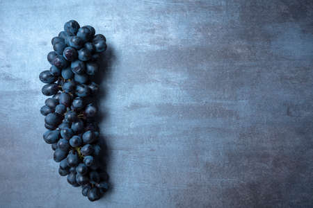 a bunch of juicy black grapes on a gray gray background, view from the top, free space for text.の写真素材