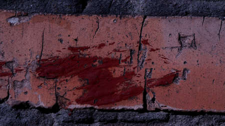 Pattern and tehtureの写真素材